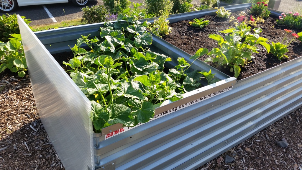 MSL-Raised bed