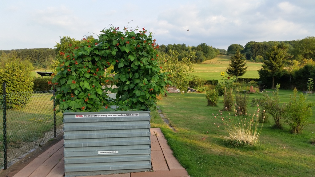 MSL-Raised bed