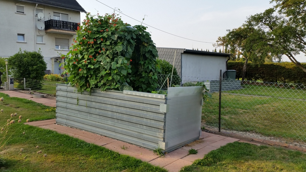MSL-Raised bed