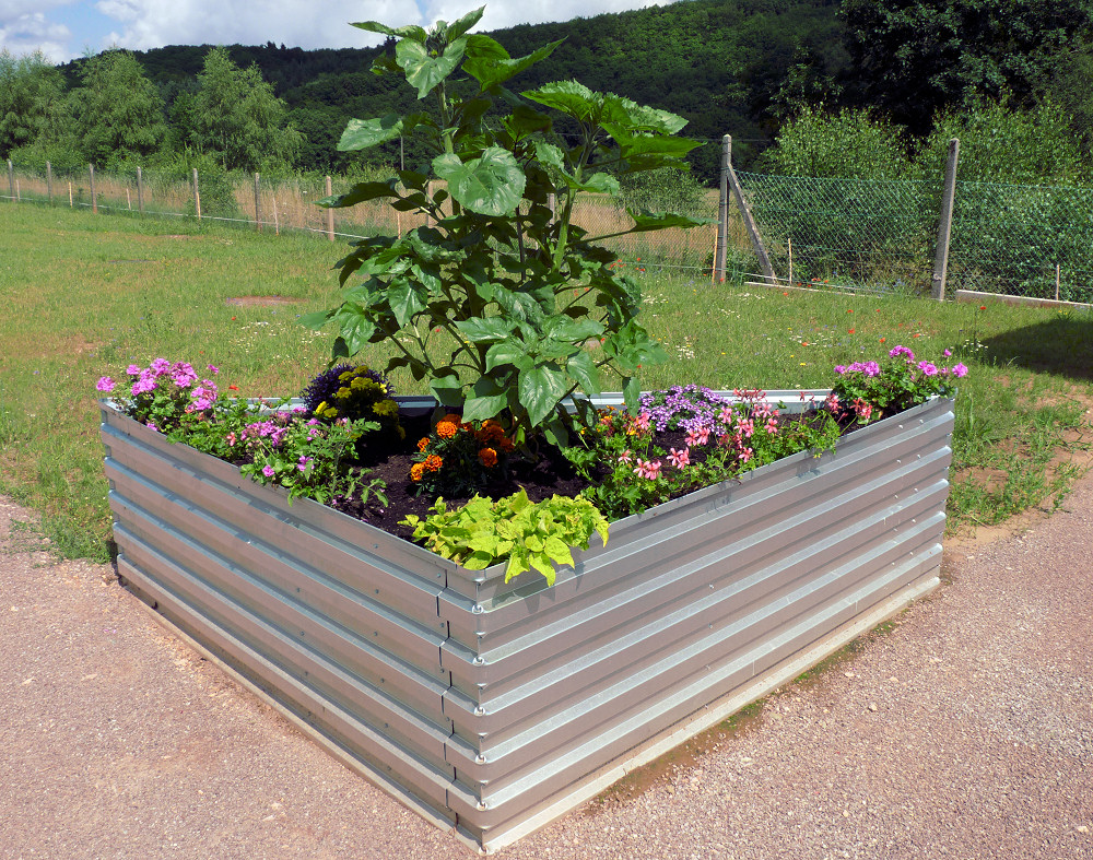 MSL-Raised bed