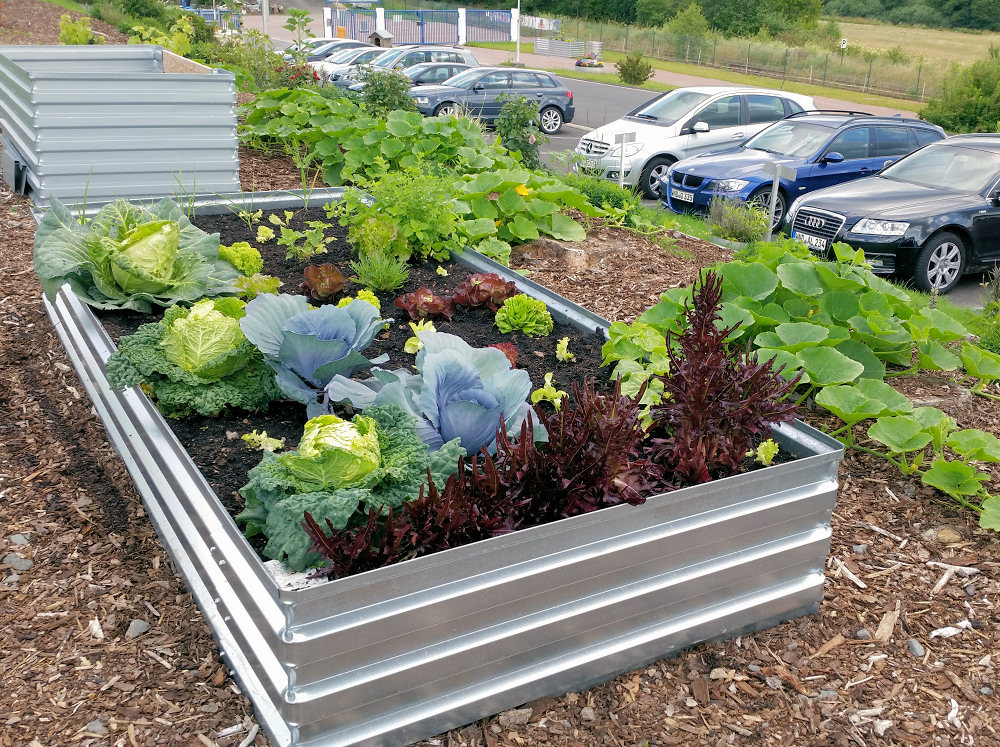 MSL-Raised bed